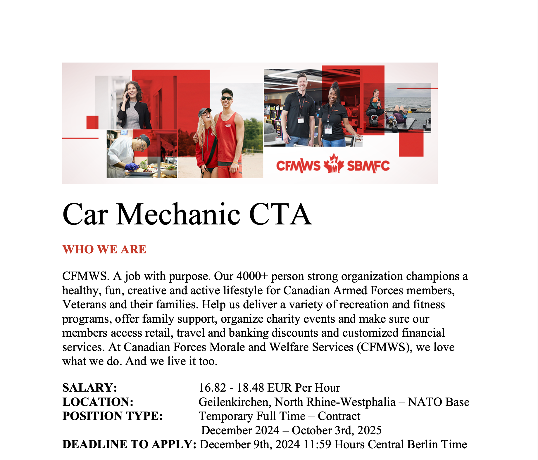 Car Mechanic | Natex