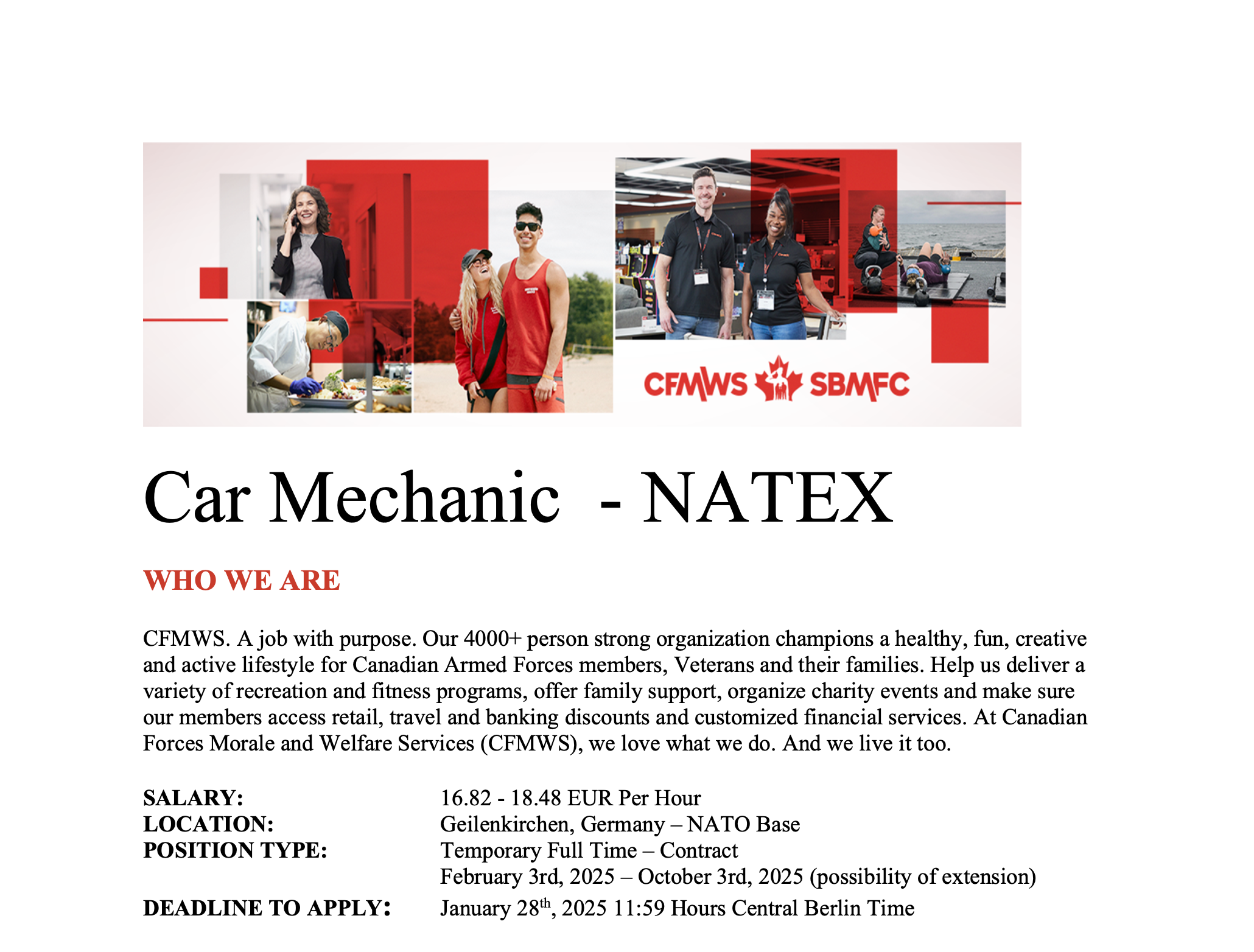 CAR MECHANIC | Natex