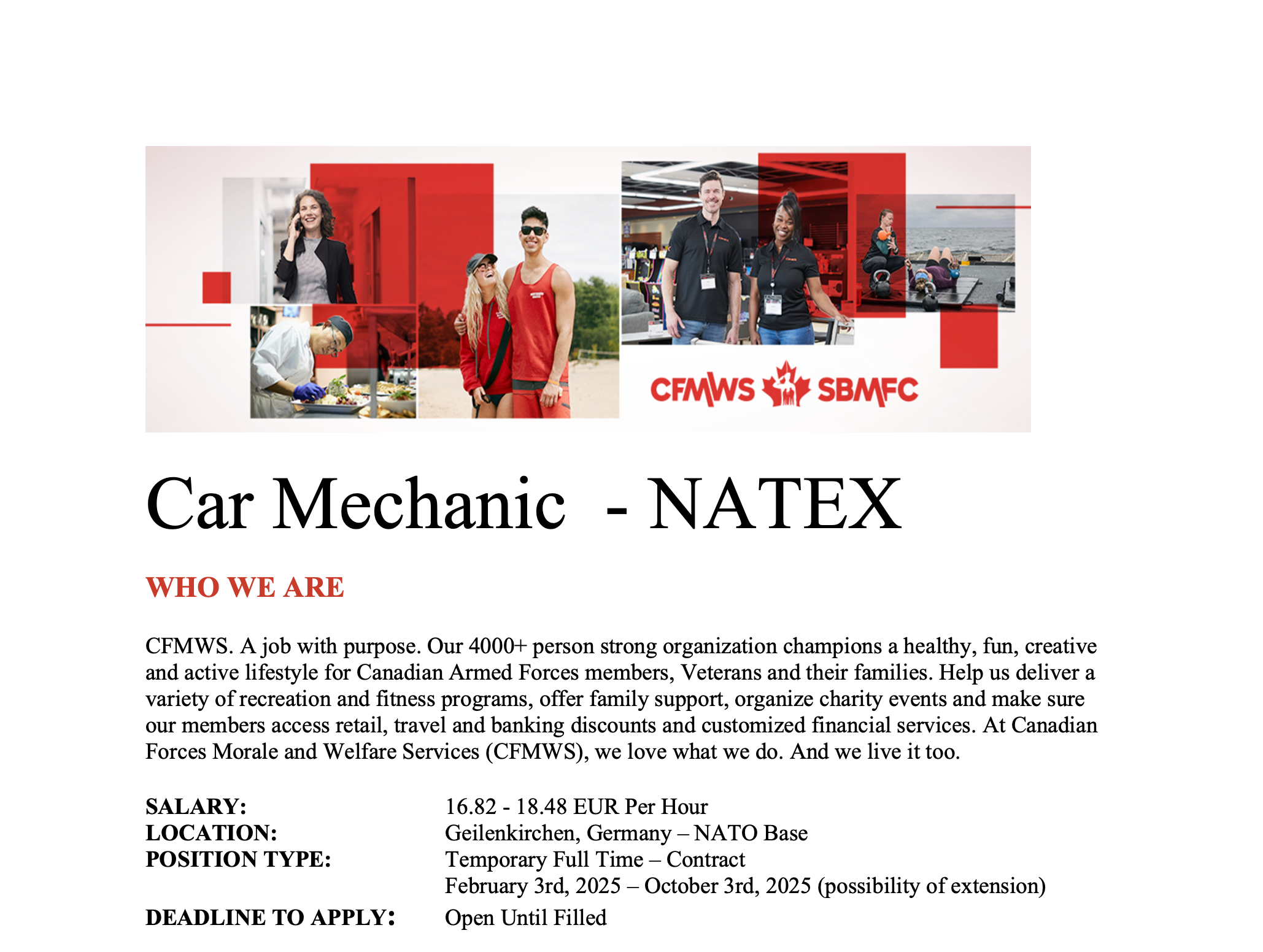 CAR MECHANIC | Natex