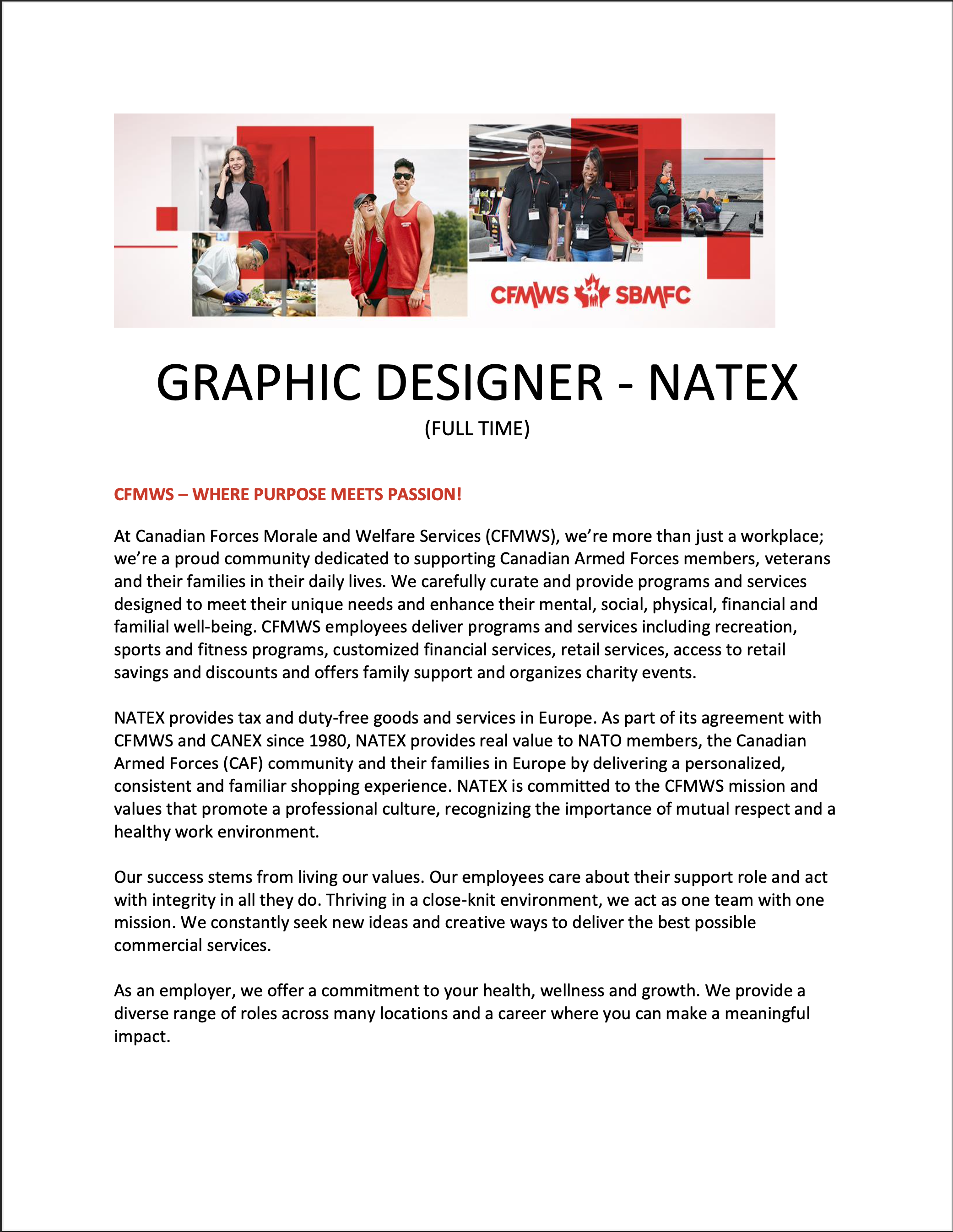 Graphic Designer (Full Time) | Natex