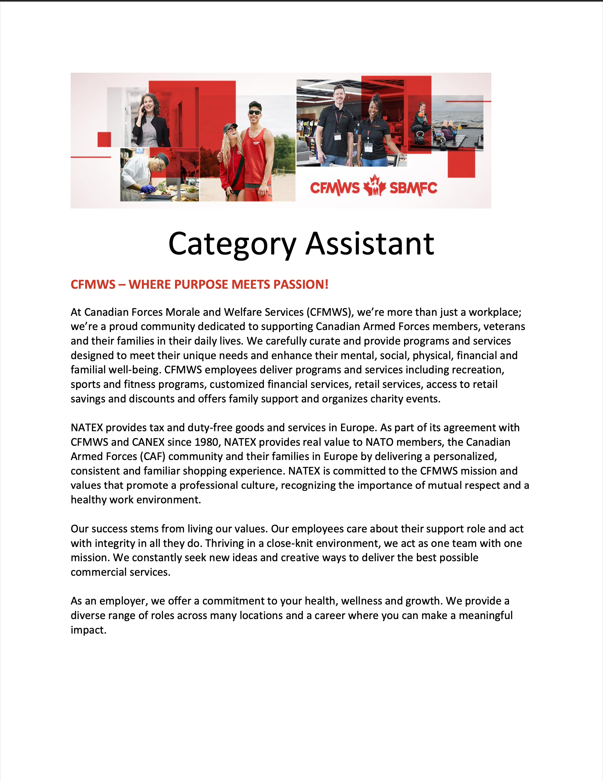 Category Assistant | Natex